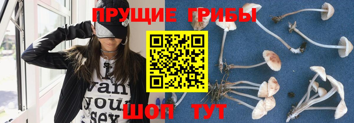 Псилоцибиновые грибы Cubensis  Вход с VPN  Урай 