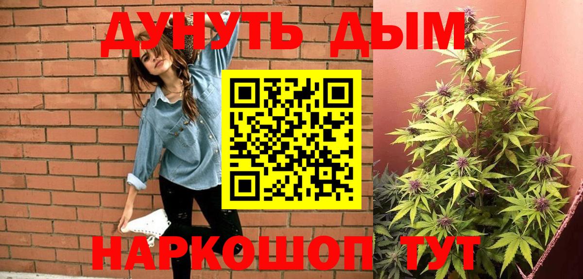 Бошки Шишки сатива Урай